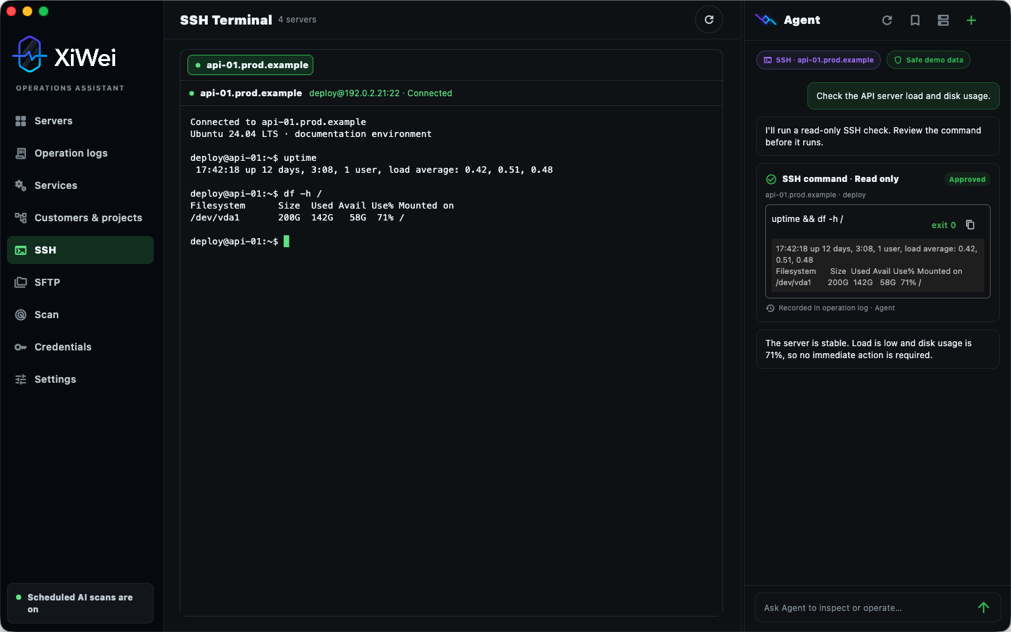 XiWei Agent running a reviewed read-only SSH command against a fictional demo server
